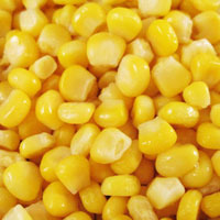 Frozen Sweet Corns Manufacturer Supplier Wholesale Exporter Importer Buyer Trader Retailer in Pune Maharashtra India